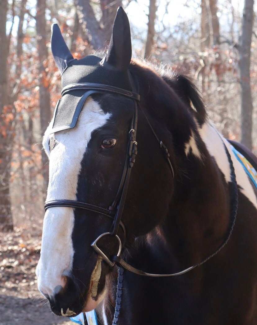 Equestrian fly bonnet, Mesh fly Bonnet, High quality Jumper fly bonnet, Fleur-de-lis fly bonnet
