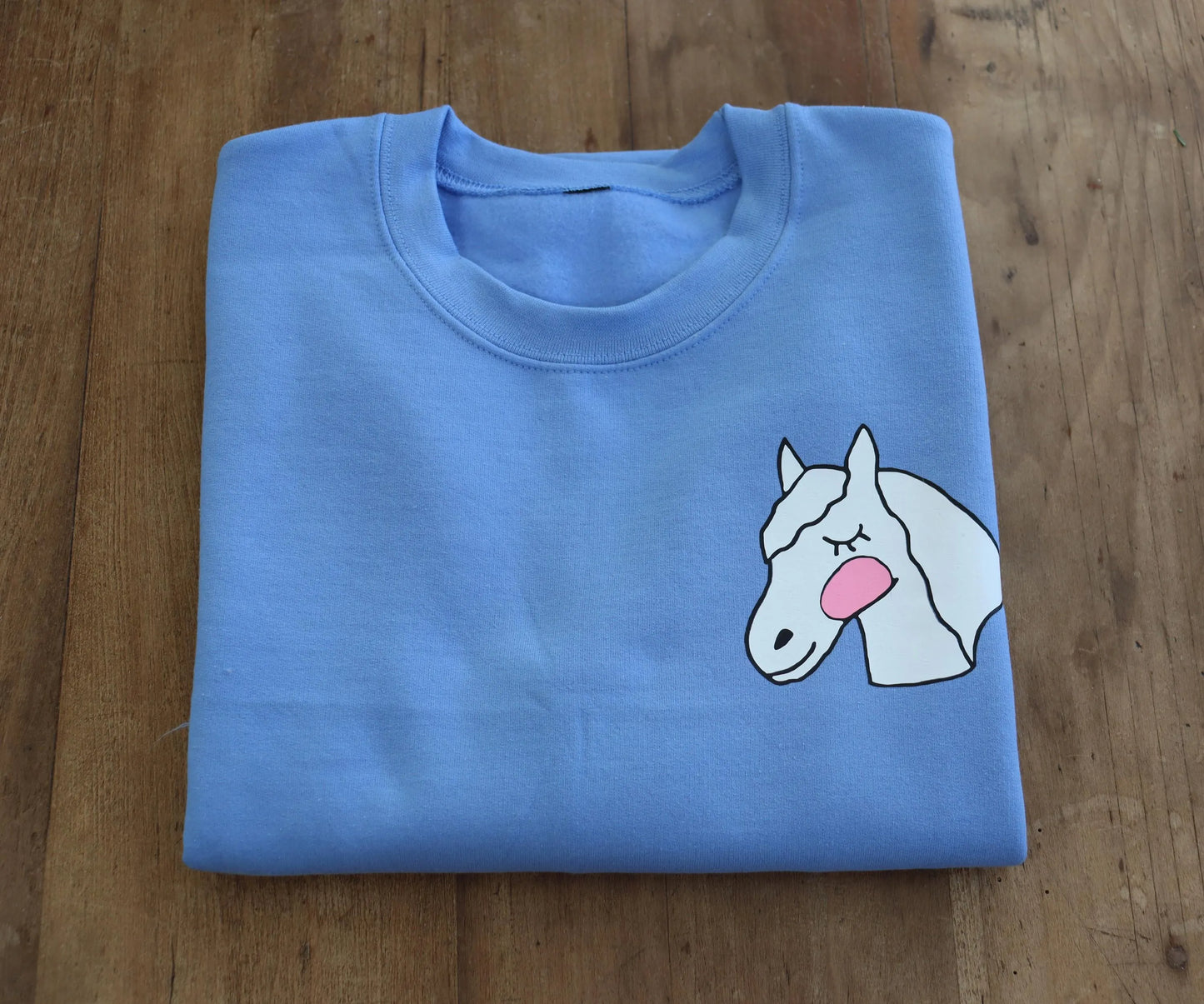 Crewneck sweatshirt, Light blue sweatshirt, Cute pony design, Sweatshirt for horse riders