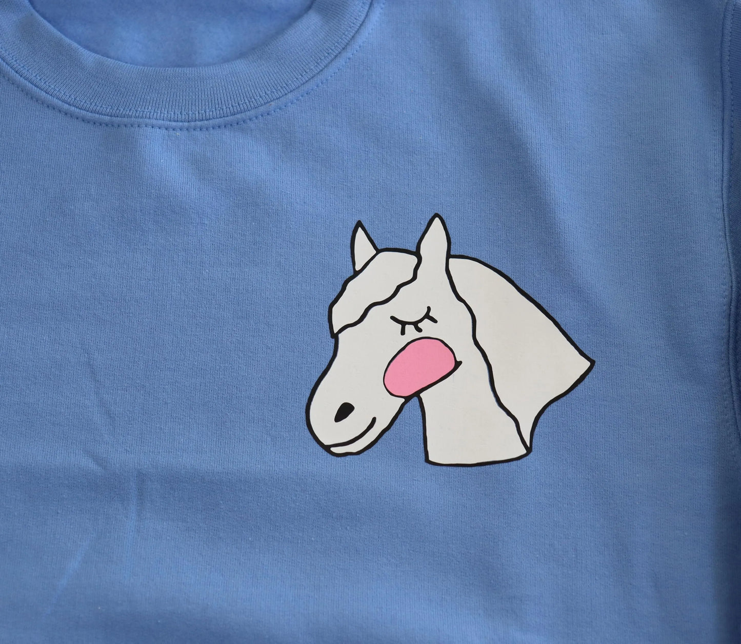 Crewneck sweatshirt, Light blue sweatshirt, Cute pony design, Sweatshirt for horse riders