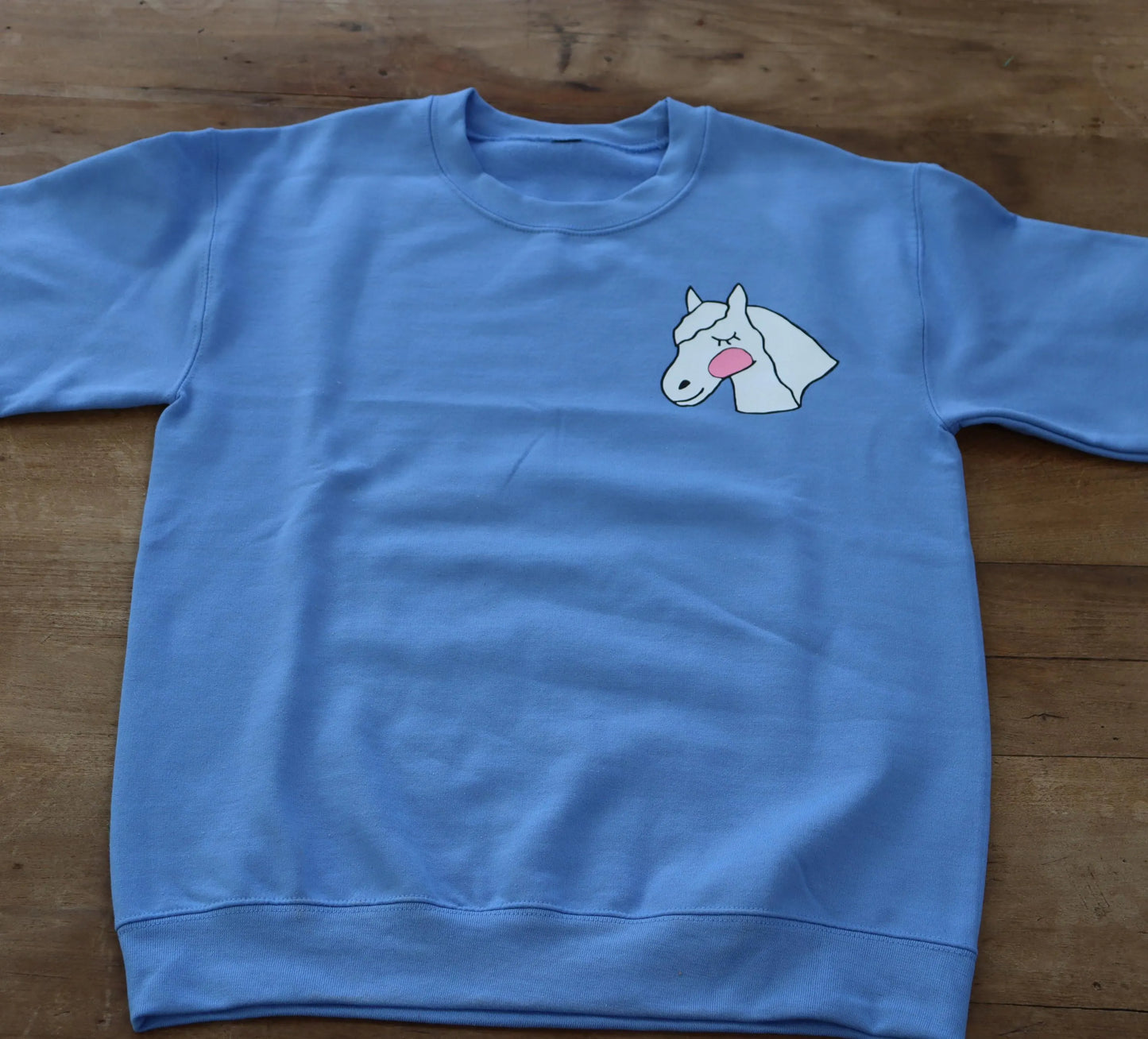 Crewneck sweatshirt, Light blue sweatshirt, Cute pony design, Sweatshirt for horse riders