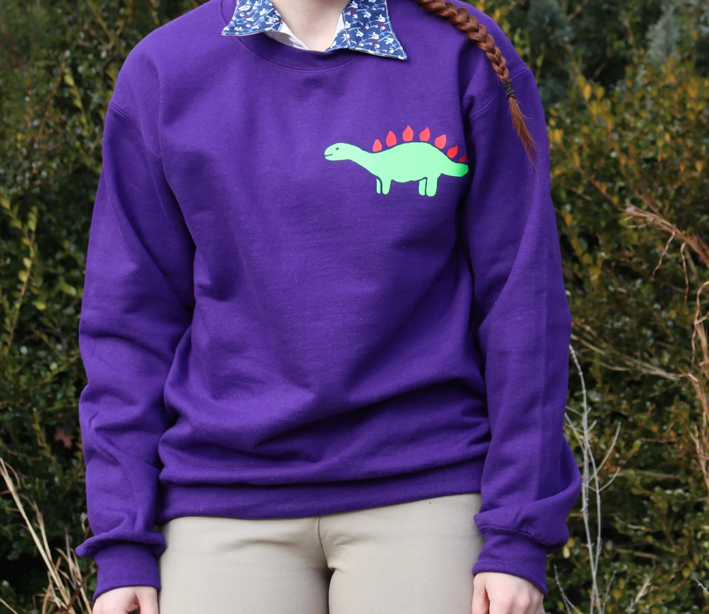 Crewneck sweatshirt, Purple sweatshirt, Cute dinosaur sweatshirt, Sweatshirt for horse riders