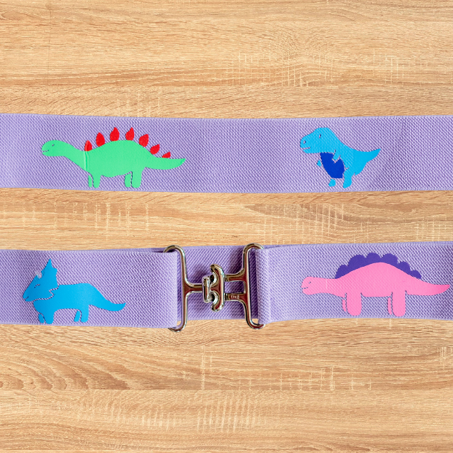 Two Dinosaur Show Bows & Belt Set for Horseback riders