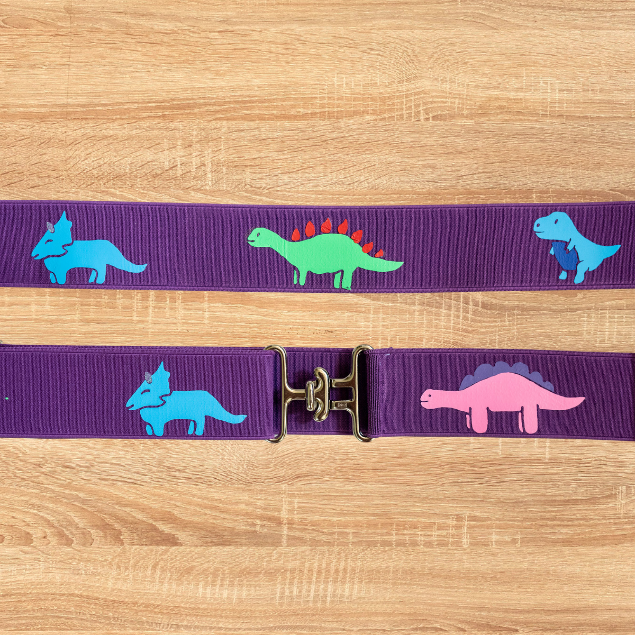 Two Dinosaur Show Bows & Belt Set for Horseback riders